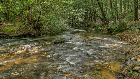 Serenity Lodge on the Creek House in Georgia