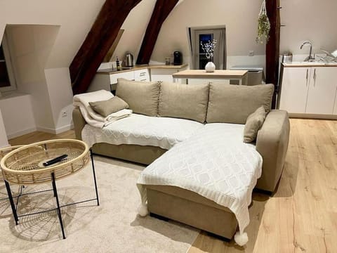 Appartement cosy centre ville Apartment in Centre-Val de Loire