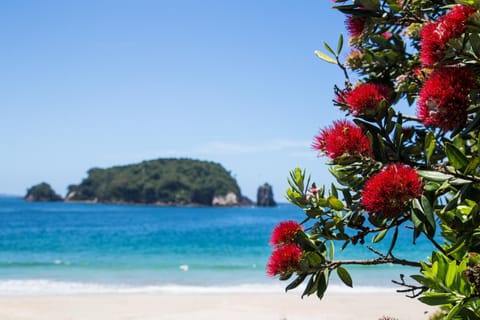 Beach, Sea view