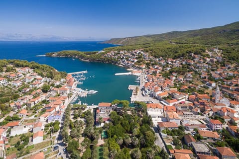 Bird's eye view, Summer, City view, Location