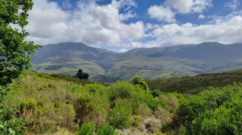 Natural landscape, Mountain view