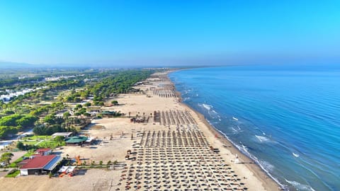 Natural landscape, Bird's eye view, Beach