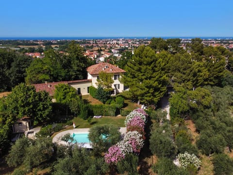 Garden, Swimming pool