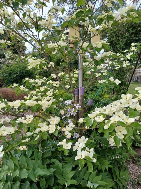 Garden, Garden view