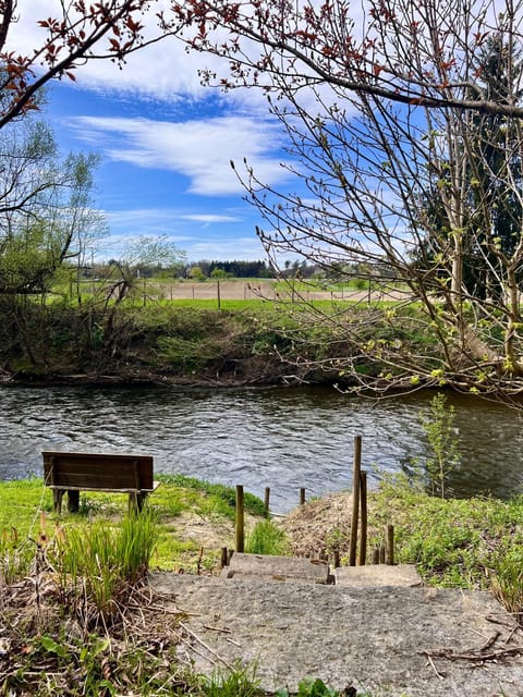 Natural landscape, River view