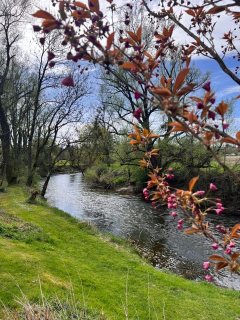 Natural landscape, River view