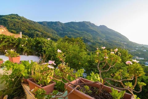 Spring, Natural landscape, Mountain view