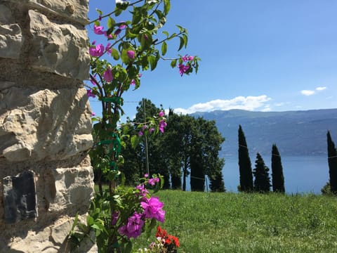 Garden view, Lake view