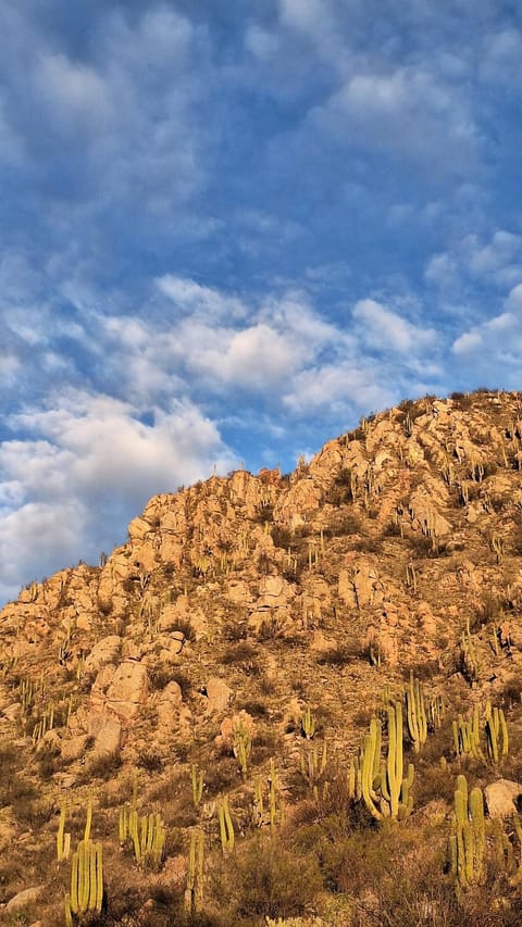 Day, Natural landscape, Mountain view