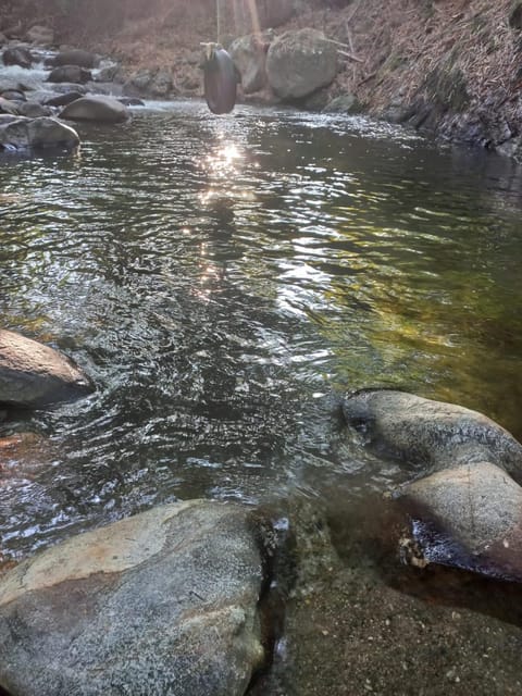 Off site, Day, Natural landscape, River view