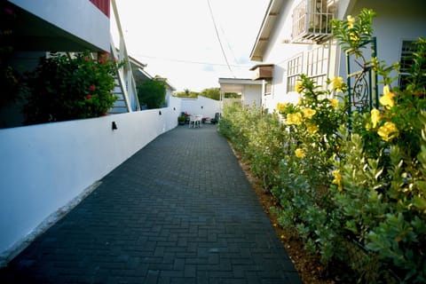 Property building, Neighbourhood, Garden, Garden view