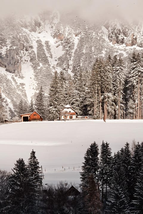 Property building, Winter