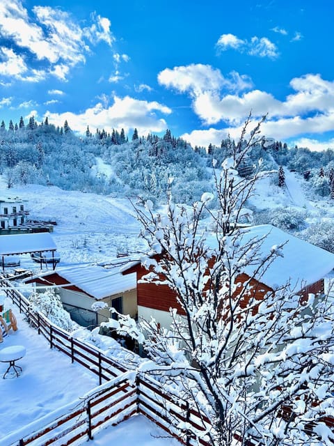 Property building, Winter, Mountain view, Mountain view