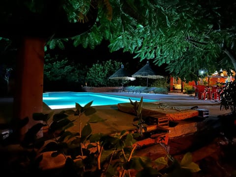 Night, Garden, Garden view, Pool view, Swimming pool