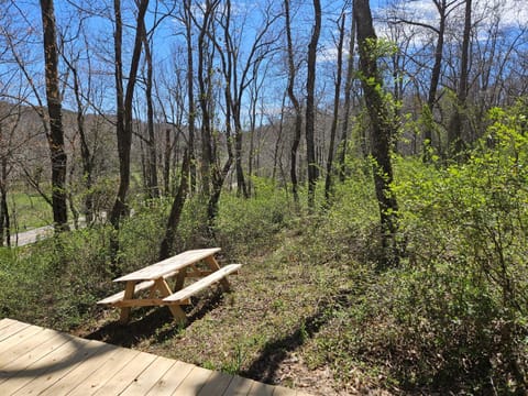 View (from property/room), Dining area