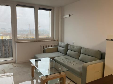 Living room, Photo of the whole room