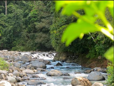 Day, Natural landscape, River view