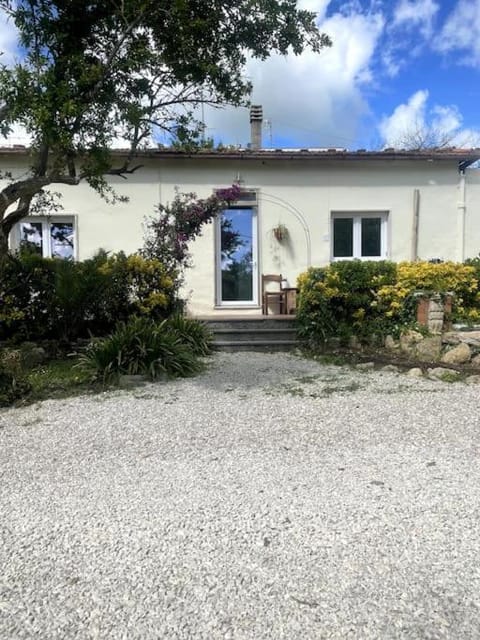 Property building, Garden, Garden view