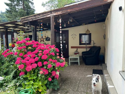 Privatzimmer mit eigenem Bad und Blick auf den Rhein Vacation rental in Boppard