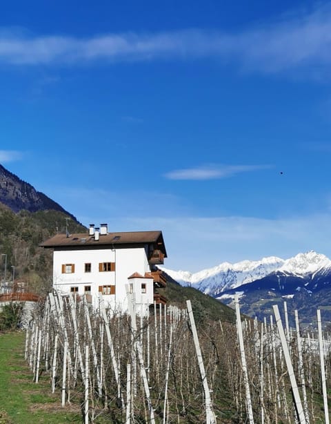 Property building, Natural landscape