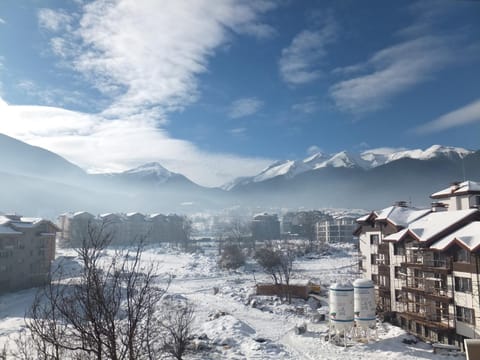 Winter, Skiing, View (from property/room), Balcony/Terrace, Area and facilities