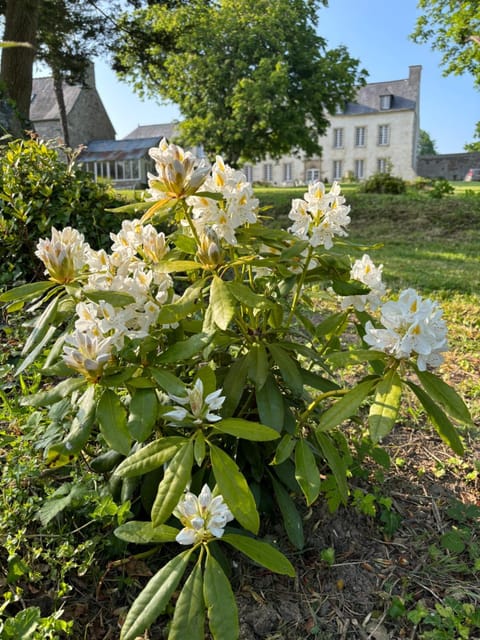 Gites du Manoir de Kergoniou Saint Joseph Bed and Breakfast in Paimpol