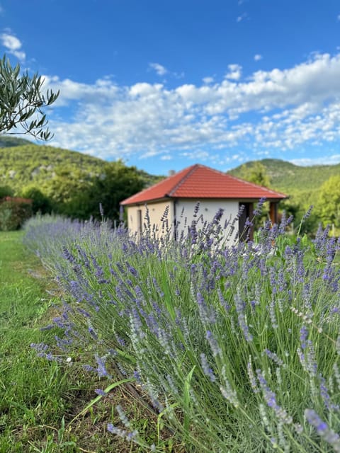 Paradise Valley House in Podgorica Municipality, Montenegro