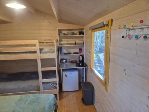 Bed, Kitchen or kitchenette, Photo of the whole room, Bedroom, bunk bed