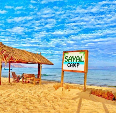 Sayal Camp Tienda de lujo in South Sinai Governorate
