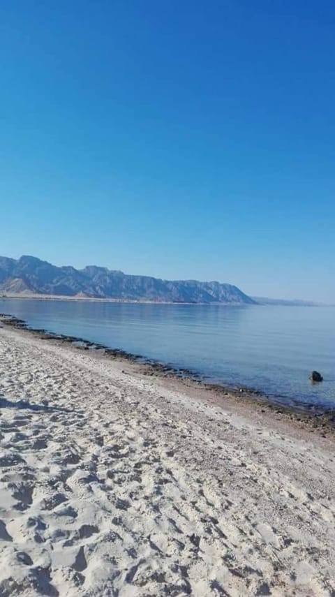 Sayal Camp Luxury tent in South Sinai Governorate