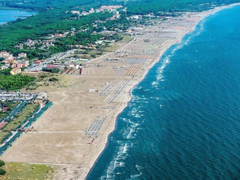 Natural landscape, View (from property/room), Other, Beach, Area and facilities