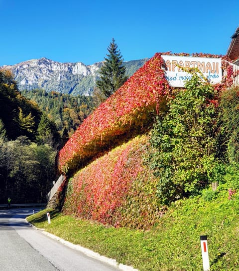 Apartments Pod macesnovo streho Apartment in Carinthia, Austria