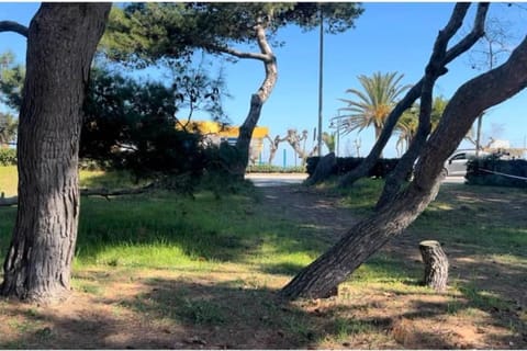 Garden view, Sea view, Sea view