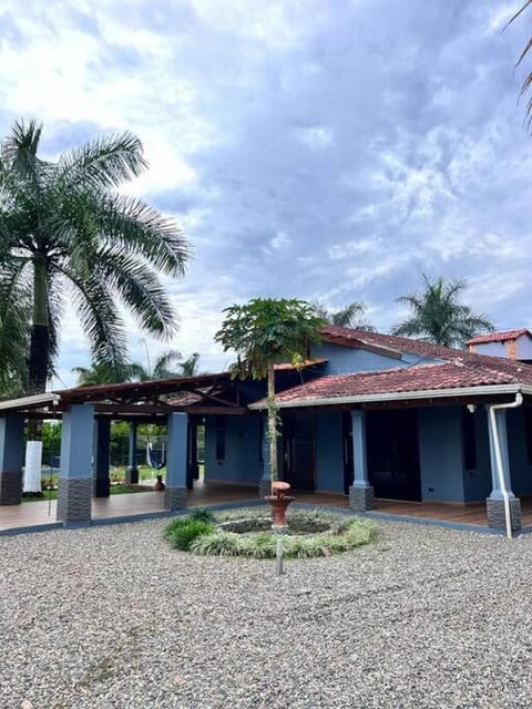 Day, Garden, Garden view