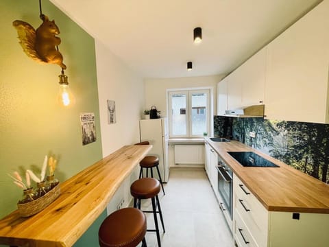 Kitchen or kitchenette, stove, towels, towels, kitchen, kitchen