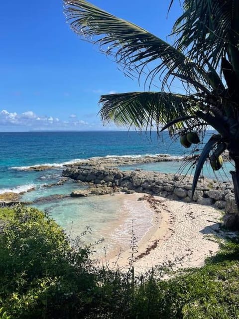 Villa Rose des Caraibes - 200m de la plage Villa in Grande-Terre, Guadeloupe