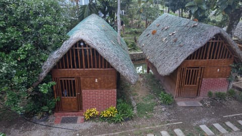 Day, Garden, Garden view