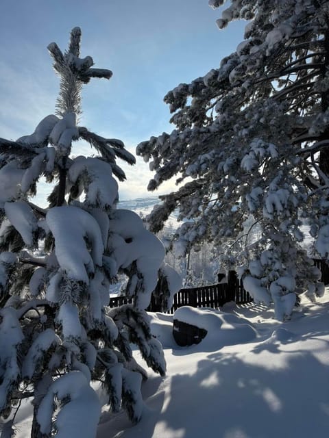 Brvnara Tomić Chalet in Zlatibor