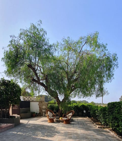 Garden, Garden view, Parking