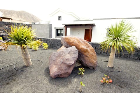 Day, Garden, Garden view