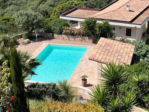 Garden, Garden view, Pool view, Swimming pool