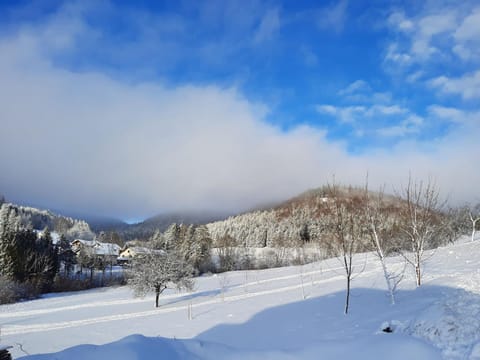 Day, Natural landscape, Winter, Mountain view