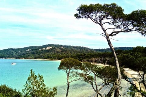 Natural landscape, Beach, Sea view