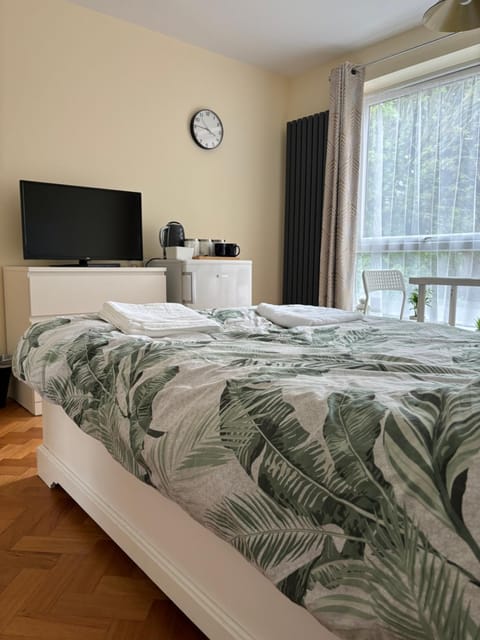 Wembley Stadium Large Double Room Vacation rental in Wembley