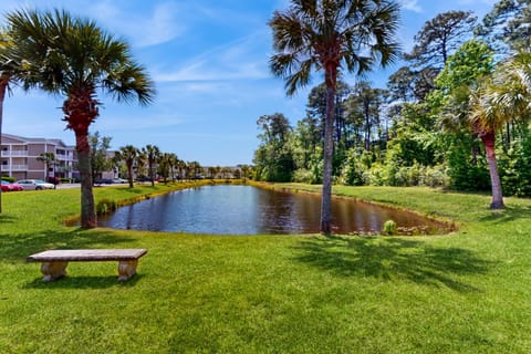 Coastal Oasis Apartment in Sunset Beach