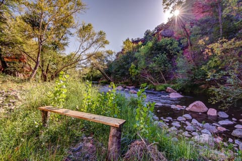 Natural landscape, River view