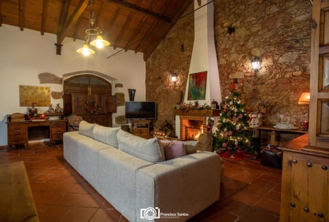 Living room, Decorative detail, fireplace