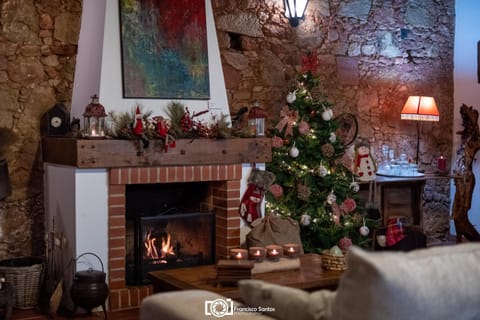 Living room, Decorative detail, fireplace