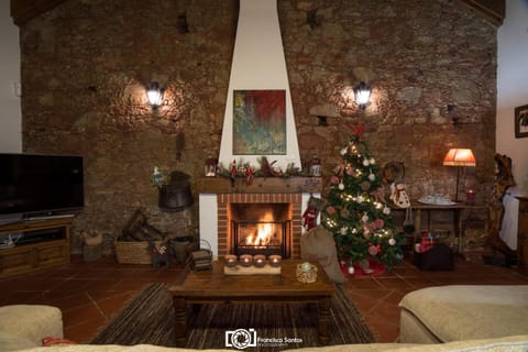 Living room, Decorative detail, fireplace