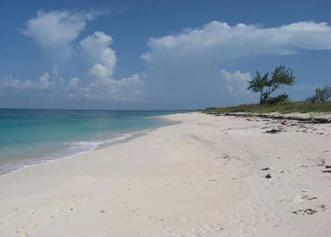 Coastal Haven: Charming Beachfront Cottage with Pool Villa in North Eleuthera